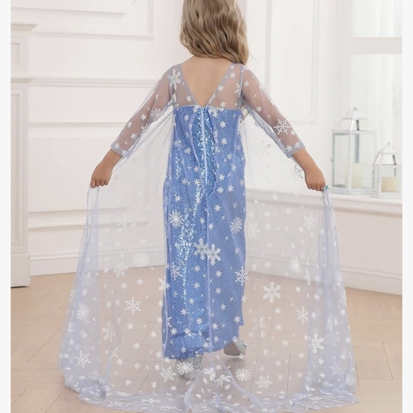 Elsa costume 2T-3T - Picture 3 of 5
